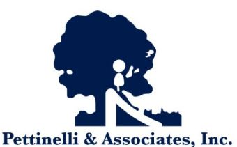 Pettinelli & Associates Logo